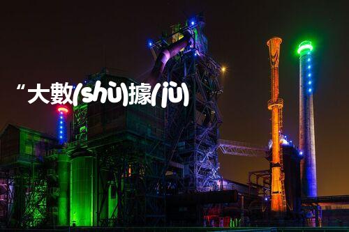 “大數(shù)據(jù)為輔，綠色技術為本：探尋上海廢水處理的可持續(xù)發(fā)展之路”